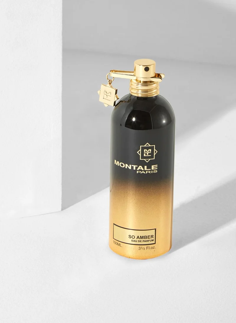 MONTALE So Amber  -100Ml Edp