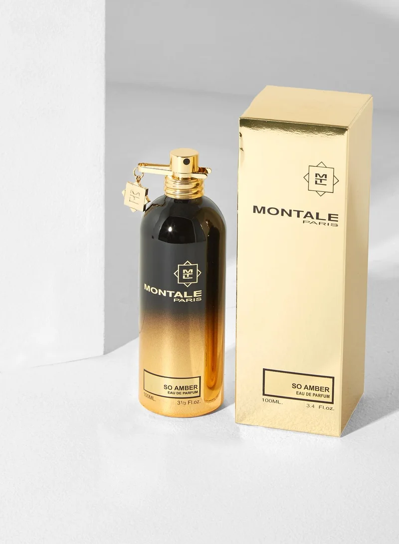 MONTALE So Amber  -100Ml Edp