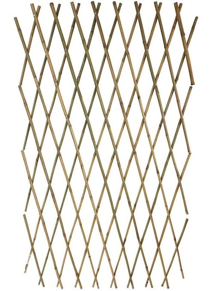 Egardenkart® Trellis Bamboo Trellis Plant Climbers,120cm,1 pcs - Image 4