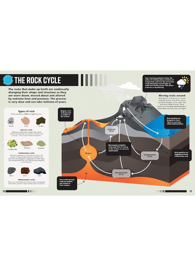 60-Second Genius: Science : Bite-Size Facts to Make Learning Fun and Fast - Image 5