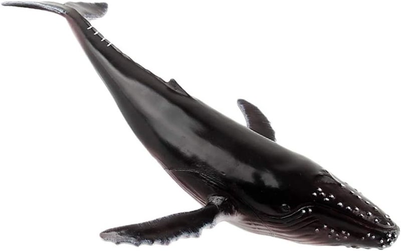klarako Sea Creature Toys Ocean Sea Animal Whale Figurines for Toddlers Kids Christmas Birthday Gift Plastic Whale Figures Set, 4 Styles  Black, Humpback Whale - Image 2
