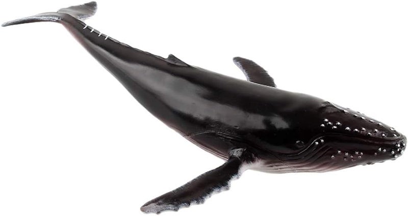 klarako Sea Creature Toys Ocean Sea Animal Whale Figurines for Toddlers Kids Christmas Birthday Gift Plastic Whale Figures Set, 4 Styles  Black, Humpback Whale - Image 3