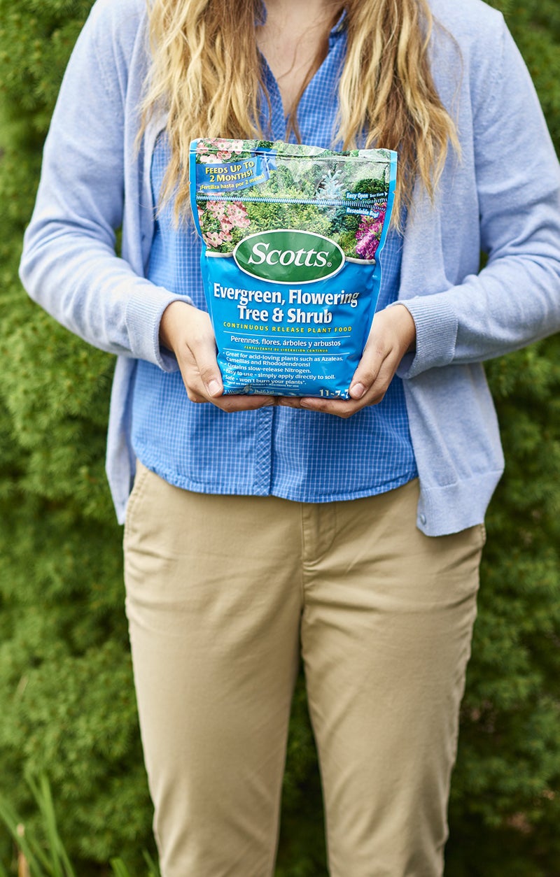 Scotts Evergreen Flowering Tree & Shrub Continuous Release Plant Food 3-Pound - Image 2