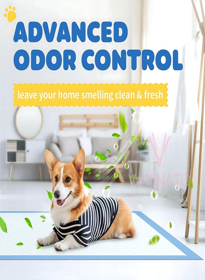 VAYINATO® 20 Pcs - (45CM*33CM) Disposable Pee Pads, Super Absorbent Diaper, Pet Toilet/Potty Training Pads for Rabbit, Guinea Pigs, Hedgehog, Hamsters,Dogs,Birds and Other Small Pets by Petzlifeworld - Image 3