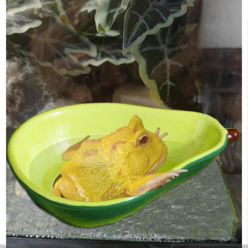 JSLZF Tree Frog Habitat Frog Water Bowl Dish Bathtub Tank Accessories Terrarium Decor Ceramic Aquarium Decoration Sturdy and Not Easy to Knock Over - Image 4