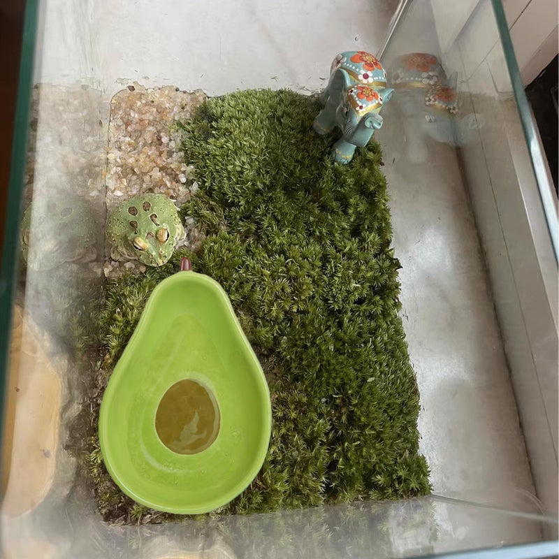 JSLZF Tree Frog Habitat Frog Water Bowl Dish Bathtub Tank Accessories Terrarium Decor Ceramic Aquarium Decoration Sturdy and Not Easy to Knock Over - Image 5