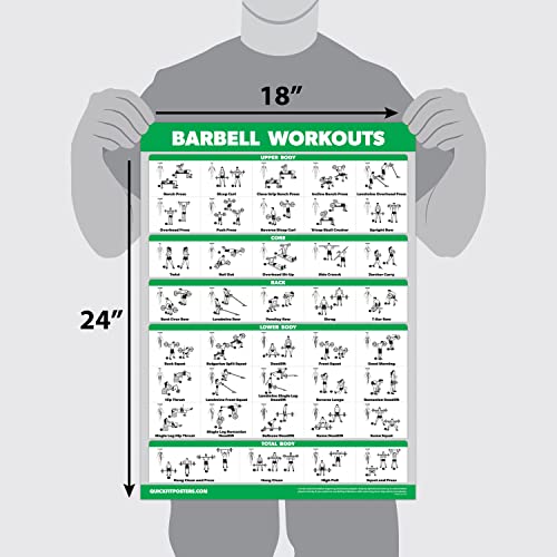 Palace Learning QuickFit Dumbbell Workouts and Barbell Exercise Poster Set - Laminated 2 Chart Set - Dumbbell Exercise Routine & Barbell Workouts (18" x 27") - Image 3