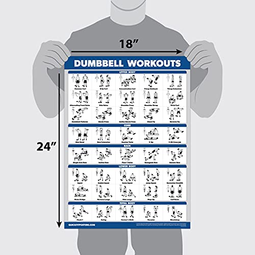 Palace Learning QuickFit Dumbbell Workouts and Barbell Exercise Poster Set - Laminated 2 Chart Set - Dumbbell Exercise Routine & Barbell Workouts (18" x 27") - Image 4