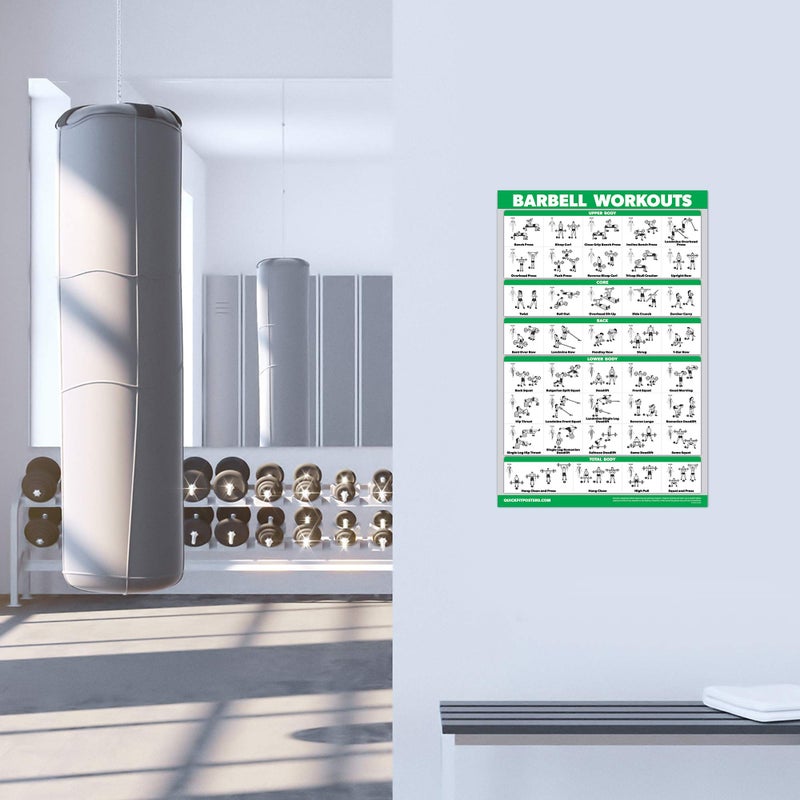 Palace Learning QuickFit Dumbbell Workouts and Barbell Exercise Poster Set - Laminated 2 Chart Set - Dumbbell Exercise Routine & Barbell Workouts (18" x 27") - Image 5