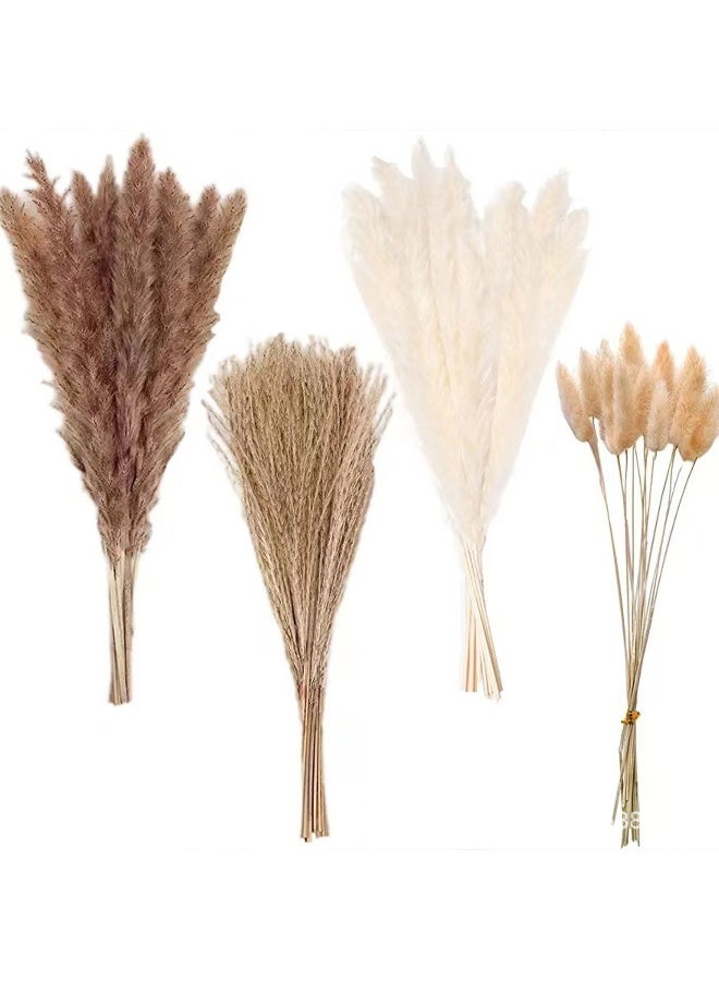 Anna Natural Dried Reed Bunny Tail Grass - 75 Stems Home Decor - Image 1