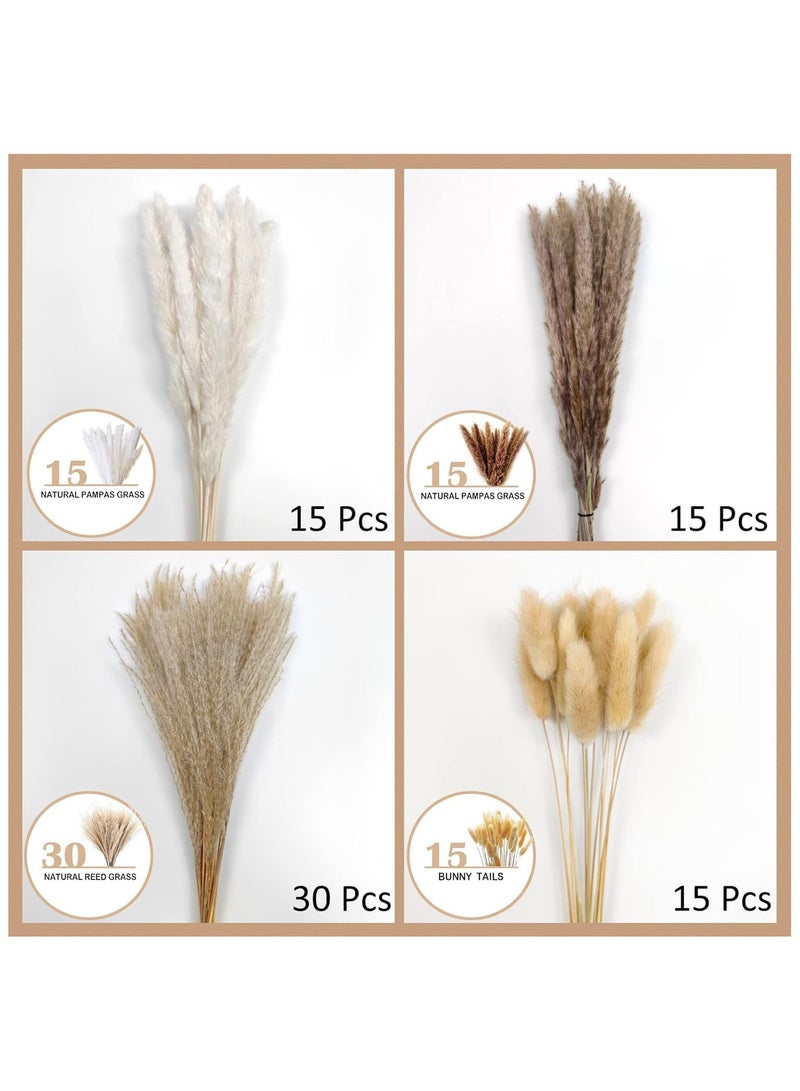 Anna Natural Dried Reed Bunny Tail Grass - 75 Stems Home Decor - Image 2