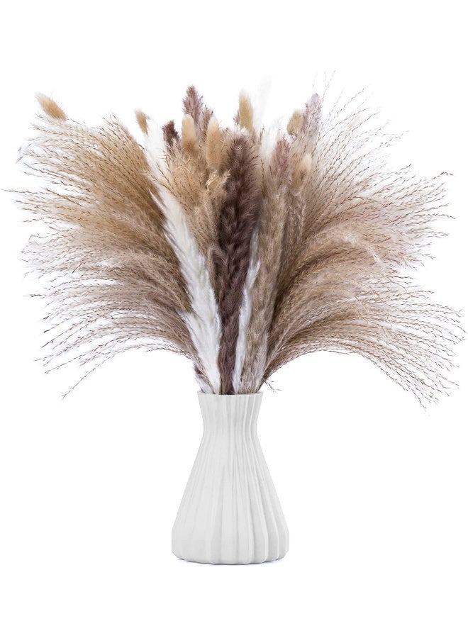 Anna Natural Dried Reed Bunny Tail Grass - 75 Stems Home Decor - Image 3