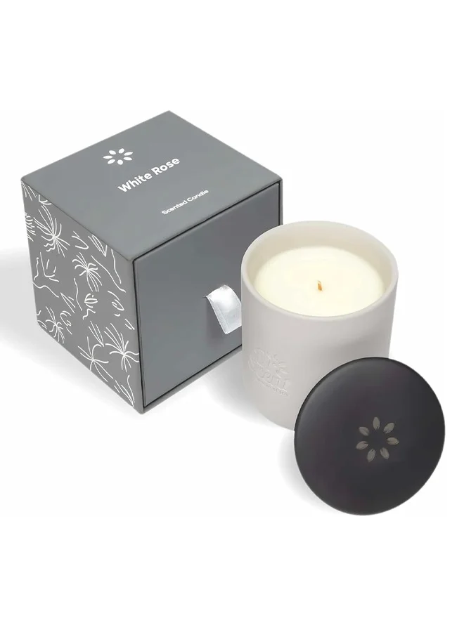 Dr Scent Scented Candle - Perfect for Creating a Cozy and Relaxing Atmosphere in any Room, Gift Set for all Festivals (White Rose)