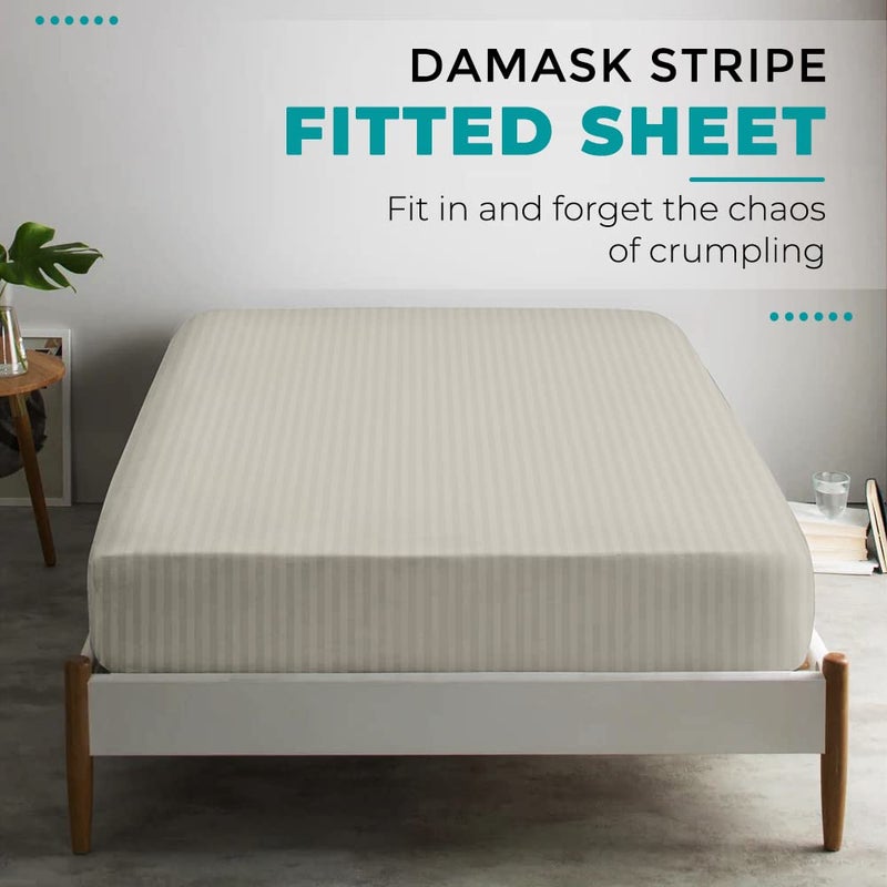 FEATHER & STITCH NEW Feather & Stitch 100% Cotton 1 Piece Damask Stripe King Fitted Sheet 500 Thread Count Beige 18 Inch Extra Deep Pocket Luxury Sateen Weave Stretchable Boxer Elastic Fits Mattress Perfectly  - Image 5