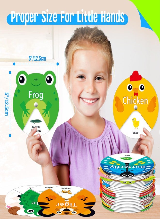 SpriteGru 30 PCS Life Cycle Spinners, 20 Animals & 10 Plants Montessori Learning Toy for Kids, Educational Spinning Game Nature & Science Learning Activities for Toddlers - Image 3