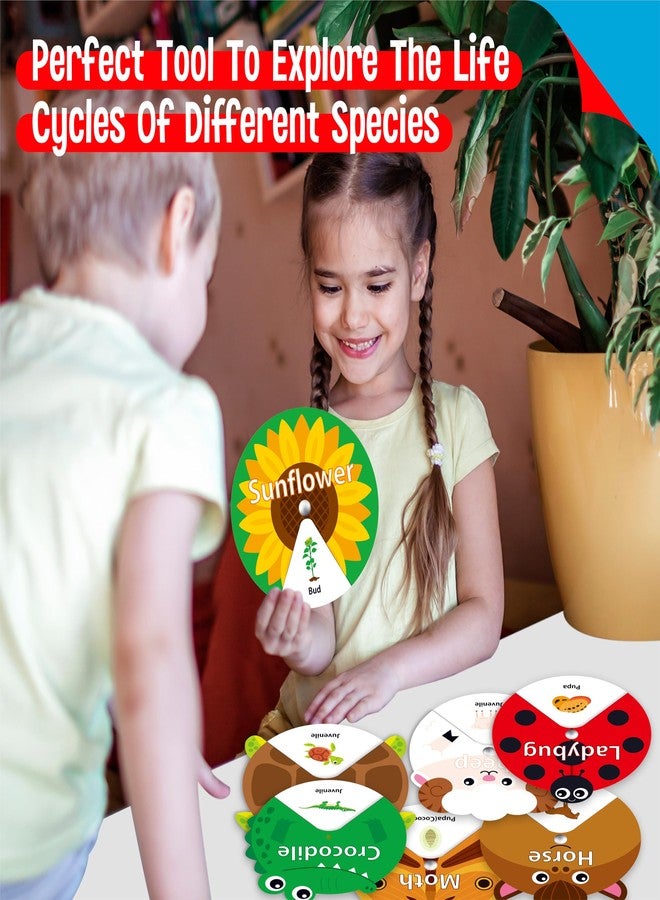 SpriteGru 30 PCS Life Cycle Spinners, 20 Animals & 10 Plants Montessori Learning Toy for Kids, Educational Spinning Game Nature & Science Learning Activities for Toddlers - Image 5