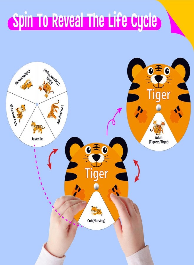 SpriteGru 30 PCS Life Cycle Spinners, 20 Animals & 10 Plants Montessori Learning Toy for Kids, Educational Spinning Game Nature & Science Learning Activities for Toddlers - Image 4