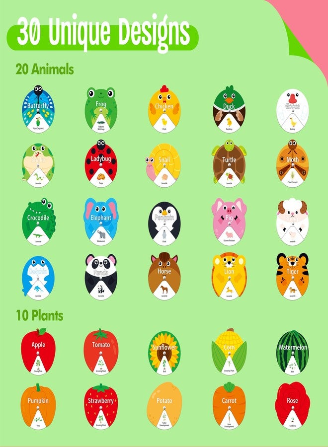 SpriteGru 30 PCS Life Cycle Spinners, 20 Animals & 10 Plants Montessori Learning Toy for Kids, Educational Spinning Game Nature & Science Learning Activities for Toddlers - Image 2