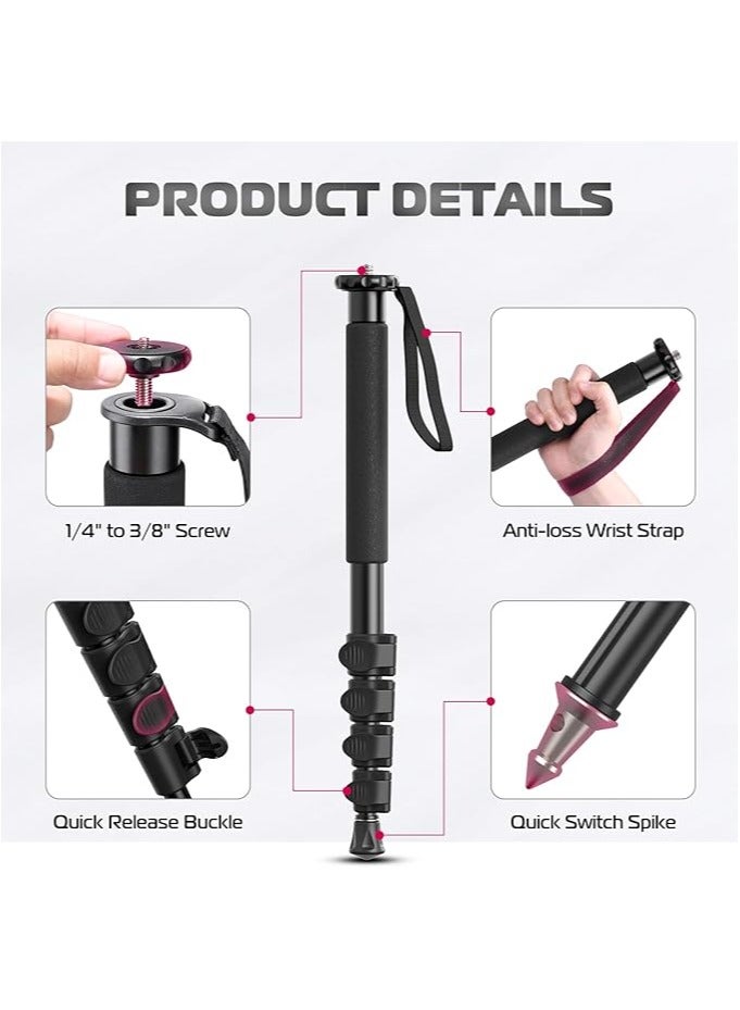 يولانزي عصا أحادية ULANZI TB12 بطول 1.5 متر – عمود قابل للتمديد للكاميرات والهواتف للتصوير والفيديو - Image 5