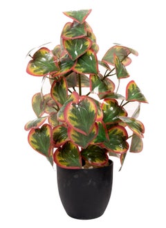 Generic Artificial Tree 68  cm Tall Plant for Interior/Home/Office Décor, Living Room, Bedroom, Kitchen, Durable Plant with Basic Black Pot, Big Natural Looking 