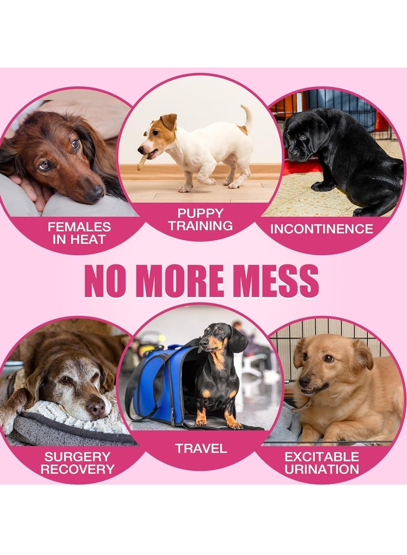 vsell24 10pcs  Female Dog Disposable Nappies (Extra Small) - Super Absorbent with 360° Leakage Protection, Ideal for Marking and Indoor Accidents - Image 3