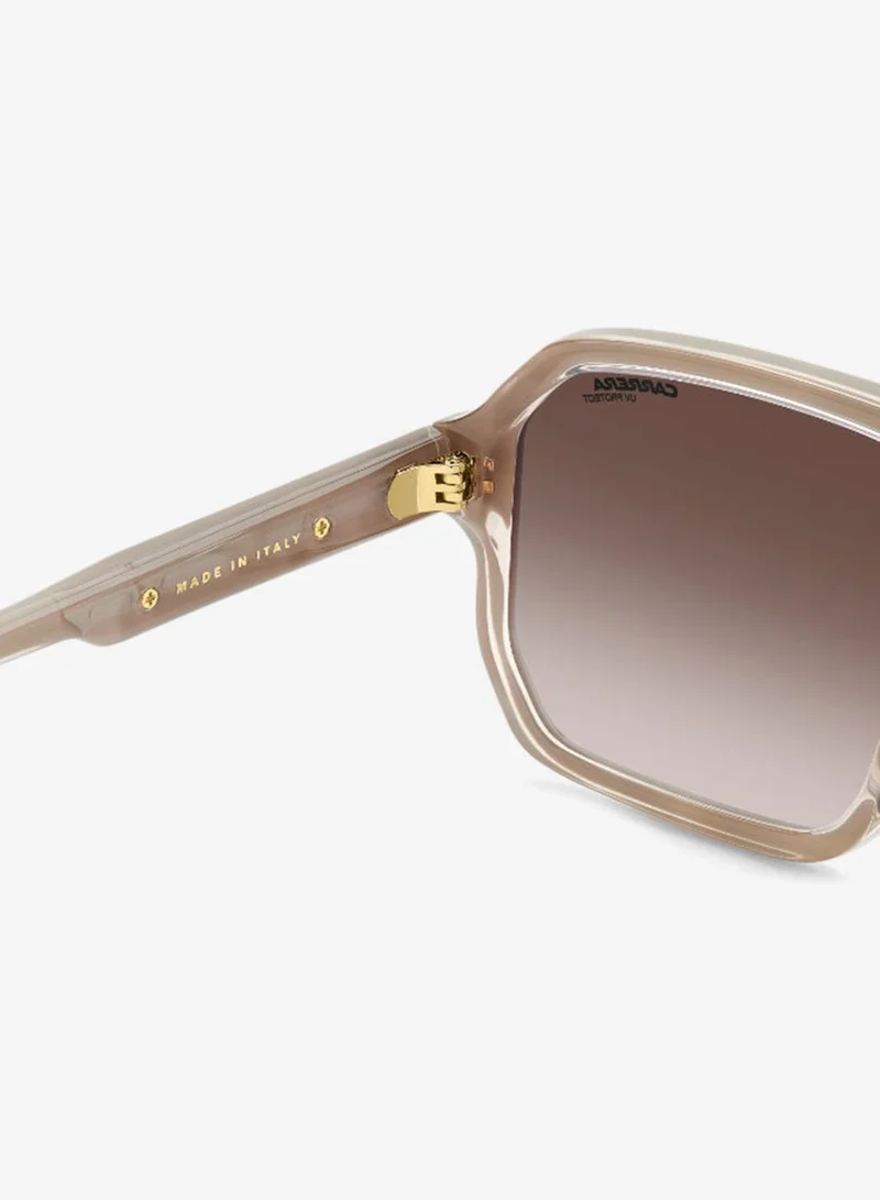 Carrera  Square Carrera Sunglasses  | Best Price UAE
