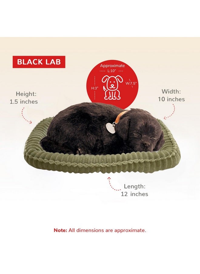 88 unlimited - Perfect Petzzz - Original Petzzz Black Lab, Realistic, Lifelike Stuffed Interactive Pet Toy, Companion Pet Dog With 100% Handcrafted Synthetic Fur - Image 1