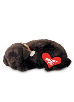 Perfect Petzzz - Original Petzzz Black Lab, Realistic, Lifelike Stuffed Interactive Pet Toy, Companion Pet Dog With 100% Handcrafted Synthetic Fur