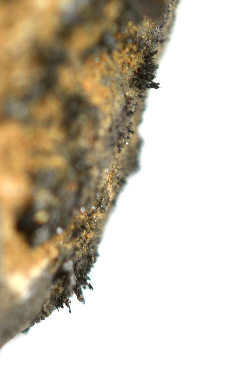 EISCO Lodestone Specimen, Approx. 1" (3cm) - Image 2