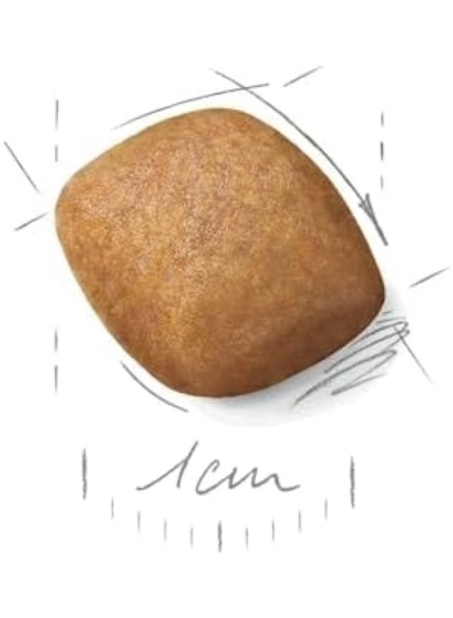 Royal Canin Breed Health Nutrition Pomeranian Adult 1.5 kg - Image 3