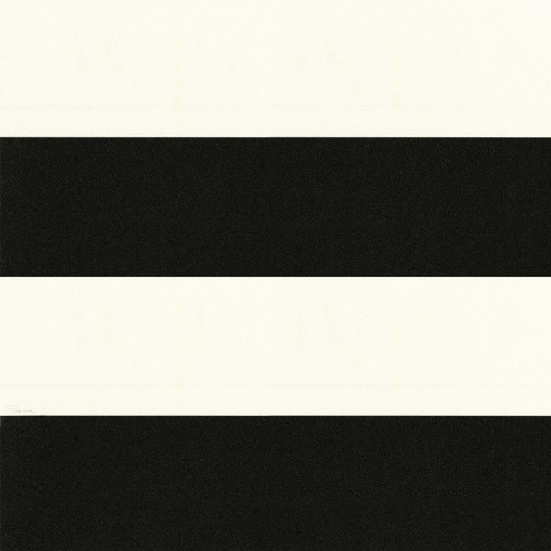 Roberto Cavalli 12049 Italian Wallpaper, Black with Off White, 7m² - Image 2