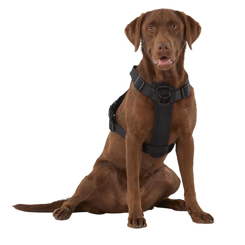 KONG Ultra Durable Waste Bag Harness (Medium, Black) - Image 2