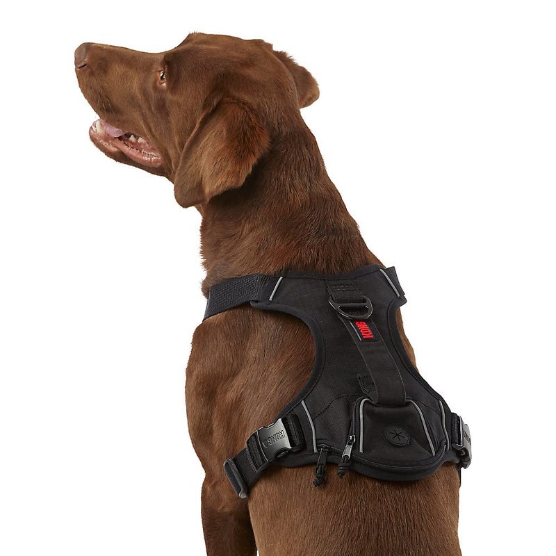 KONG Ultra Durable Waste Bag Harness (Medium, Black) - Image 1