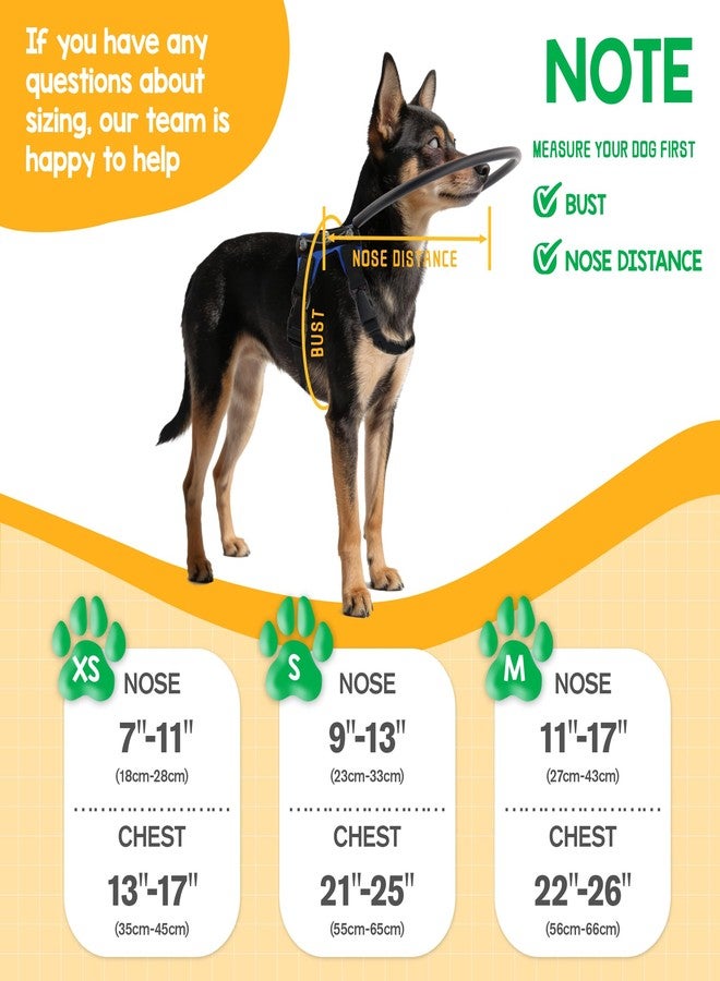 LetPetRun Protective Halo Harness for Blind Dogs,Adjustable Protective Ring Collar Vest, Safe Walking Navigation Aid for Visually Impaired Dogs (21"-25") - Image 3