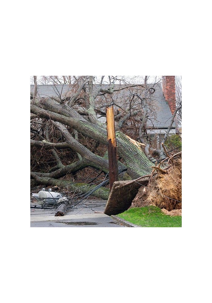 Uniden ماسح Uniden BearTracker BCT15X مع 9,000 قناة وتقنية TrunkTracker III - Image 3