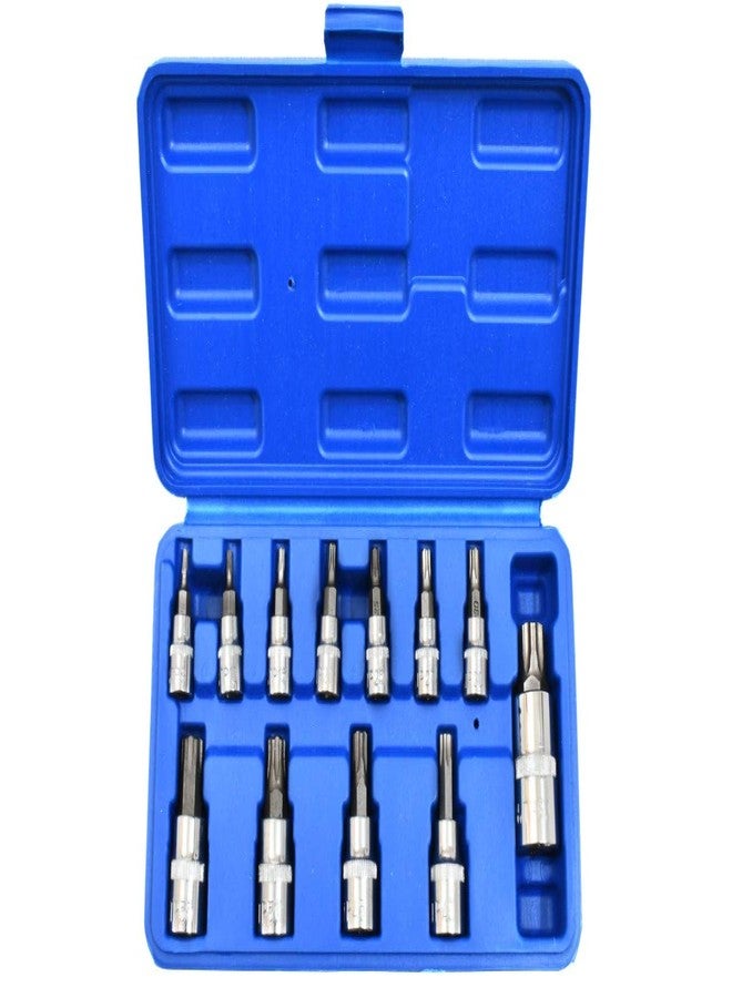 12PC 6pt Star Lobe Torx Star Plus Bit Socket Set