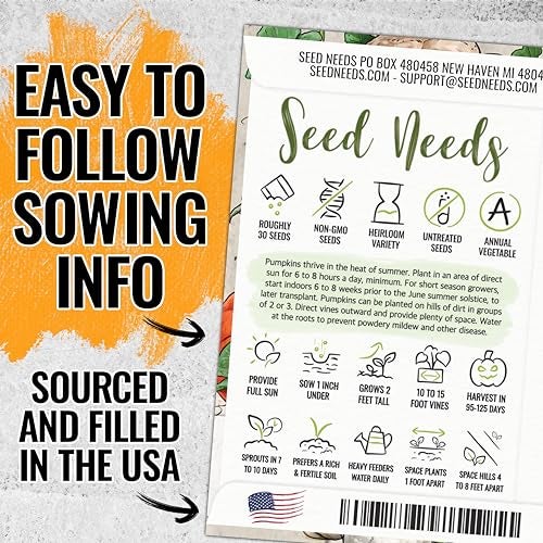 Seed Needs Pumpkin Seeds Specialty Spooky Blend 10+ Varieties | Lumina White, Baby Boo, Blue Jarrahdale, Cinderella & More! | Heirloom Non-GMO Untreated | Bulk Pumpkin Seeds for Planting - Image 5