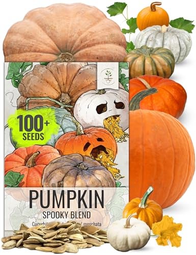 Seed Needs Pumpkin Seeds Specialty Spooky Blend 10+ Varieties | Lumina White, Baby Boo, Blue Jarrahdale, Cinderella & More! | Heirloom Non-GMO Untreated | Bulk Pumpkin Seeds for Planting - Image 1