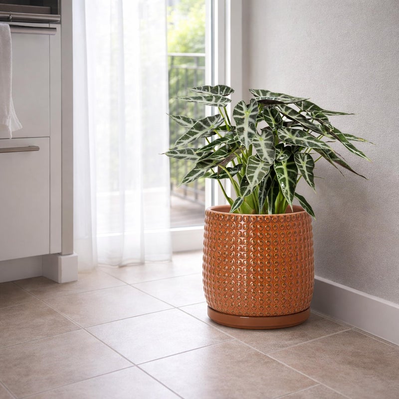 D'vine Dev 8 Inch Ceramic Beaded Stoneware Planter Pot - Flower Pot with Drainage Holes and Saucers for Indoor Succulent Plants or Flowers, Pumpkin, 27-C-Q-J - Image 2