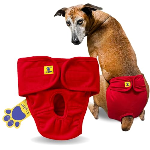 A+a Pets' MAA' Cotton Dog Underwear Diaper – Stretchable, Comfortable, Washable & Reusable (Red L) - Image 1