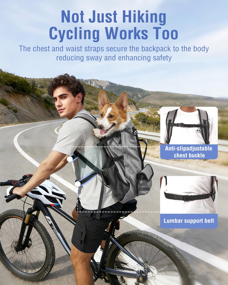 Moysoon Dog Backpack for Small & Medium Dogs â€“ 4-Layer Safety Pet Carrier with Thick Shoulder Straps, Detachable Waist Bag, Breathable Mesh & Storage Pockets for Travel & Hiking - Image 2