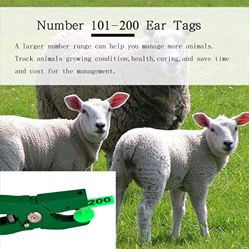 GoldPaddy 101-200 Number Plastic Tags Livestock Animal Ear Tag for Marking Pigs Cattle Sheep(Green) - Image 2