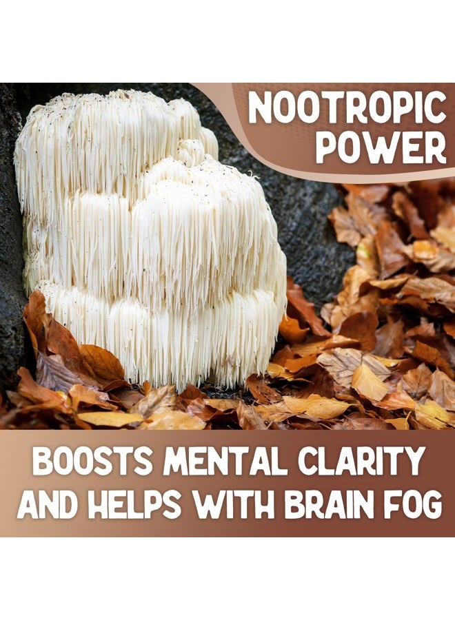 XPRS Nutra Organic Lion's Mane Mushroom Powder - Premium for Mental Clarity, Cognition and Immunity - Vegan Friendly (8 oz) - Image 4
