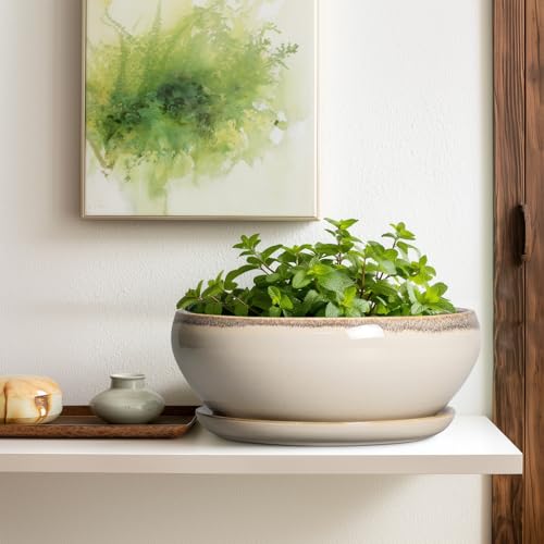 SQOWL Bonsai Pots 12 Inch - Large Ceramic Succulent Planters, Shallow Planter with Drainage Hole and Saucer, Round Bowl Planter for Indoor Outdoor Plants, Home Decor, Plant Lover Gifts, Beige - Image 5