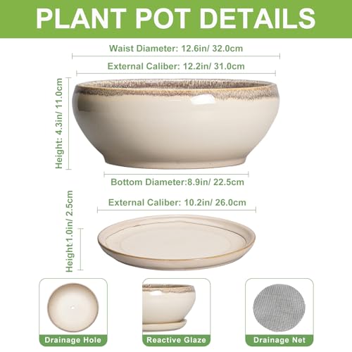 SQOWL Bonsai Pots 12 Inch - Large Ceramic Succulent Planters, Shallow Planter with Drainage Hole and Saucer, Round Bowl Planter for Indoor Outdoor Plants, Home Decor, Plant Lover Gifts, Beige - Image 2