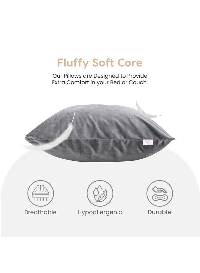 ماي ارمور وسادة ماي آرمور مربعة من الألياف الدقيقة للأريكة والسرير | ناعمة ورقيقة لراحة ودعم الظهر | قابلة للغسل ولا تسبب الحساسية | غطاء خارجي مخملي فاخر، رمادي، عبوة من قطعة واحدة [24 بوصة × 24 بوصة] - Image 3
