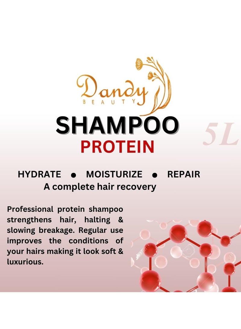 Dandy Beauty Hair Shampoo, Complete Hair Recovery, 5L (Protein) - Image 2