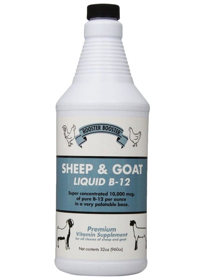 B-12 Sheep and Goat Liquid, 32-Ounce - pzsku/Z14A72ADF955A2607F591Z/45/_/1681666717/2f2bdc8f-35df-49f0-84f5-d88e76ffa11c