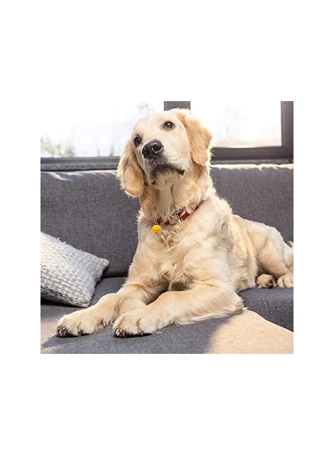 The Bros Jingle Bells for Craft, Iron Metal Bells, Mini Colored Small Bell for DIY Bracelet Anklets Necklace Knitting, Jewelry Making, Pet Collar Party Festival Xmas Decorations Mixed Color 22mm, 50 Pcs - Image 4