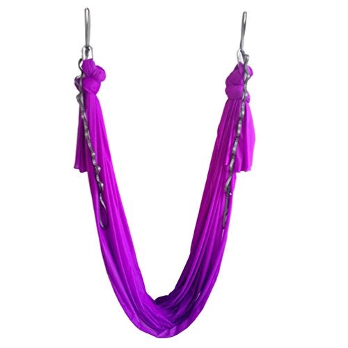 WELLSEM Aerial Yoga Hammock 5.5 Yards Aerial Pilates Silk Yoga Swing Set Include Carabiner,Daisy Chain, Pose Guide (Violet) - Image 2